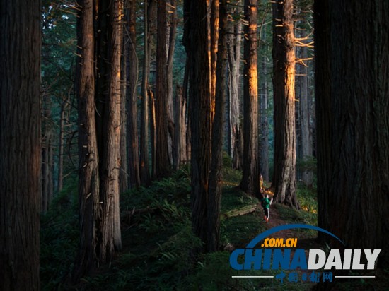 《國家地理》推薦近期熱門景點(diǎn)