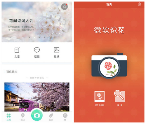 人工智能還能這么玩！識花神器讓你三秒告別“花癡”
